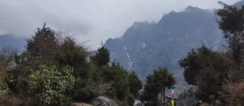 Rhododendron and fir below cloud-wrapped cliffs on the final stretch into Ghunsa