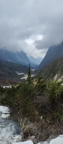 Looking back down the Ghunsa Khola valley under heavy cloud, juniper in the foreground