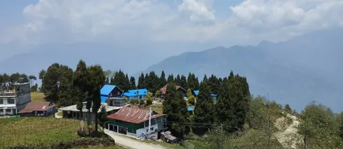 Blue-roofed lodges and pines on a ridge near Suketar at about 2,400m