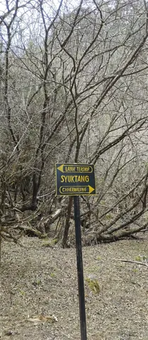 Syuktang signpost among bare birch, pointing to the Labuk teashop and Chhermalung