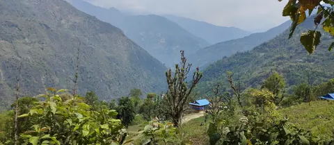 Forested ridges folding down toward the Tamor valley, with a blue-roofed farmhouse on the slope
