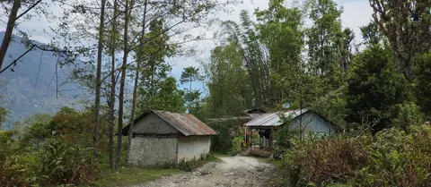 Dirt trail between tin-roofed houses and bamboo on the first morning's walk below Taplejung