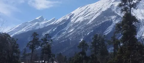 Manaslu over pine forest on the way to Samagaon