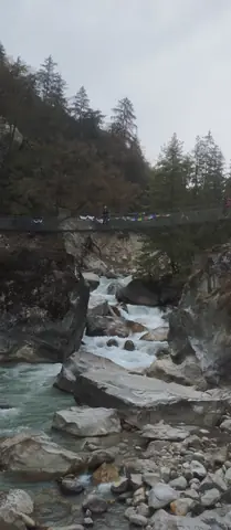 Suspension bridge over a side stream in the forest below Namrung