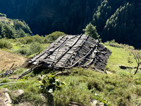 A collapsed wooden-shingle shed in a green meadow above a forested valley