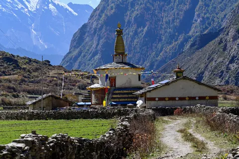A gompa and tall chorten among stone-walled fields, snow peaks behind