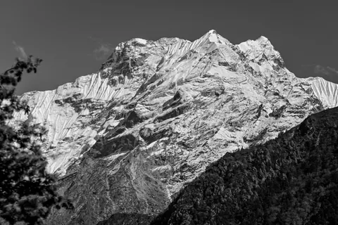 A black-and-white view of a snow peak above dark forest