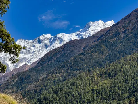 A long snow ridge rising beyond steep pine forest